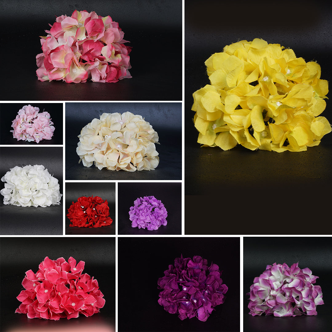 Hydrangea Heads