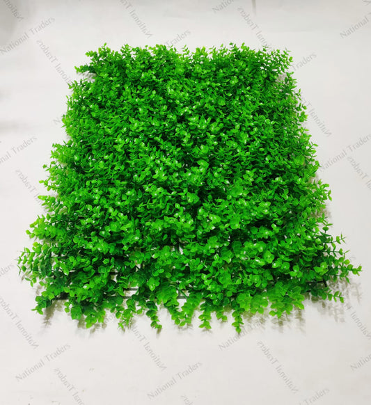 Eucalyptus matt green