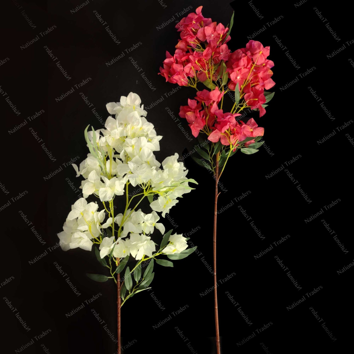 Bougainvillea Sticks