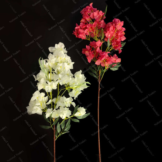 Bougainvillea Sticks