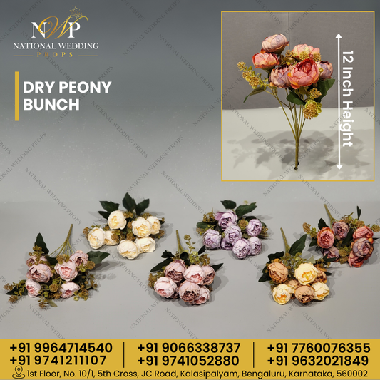 Dry Peony Bunch