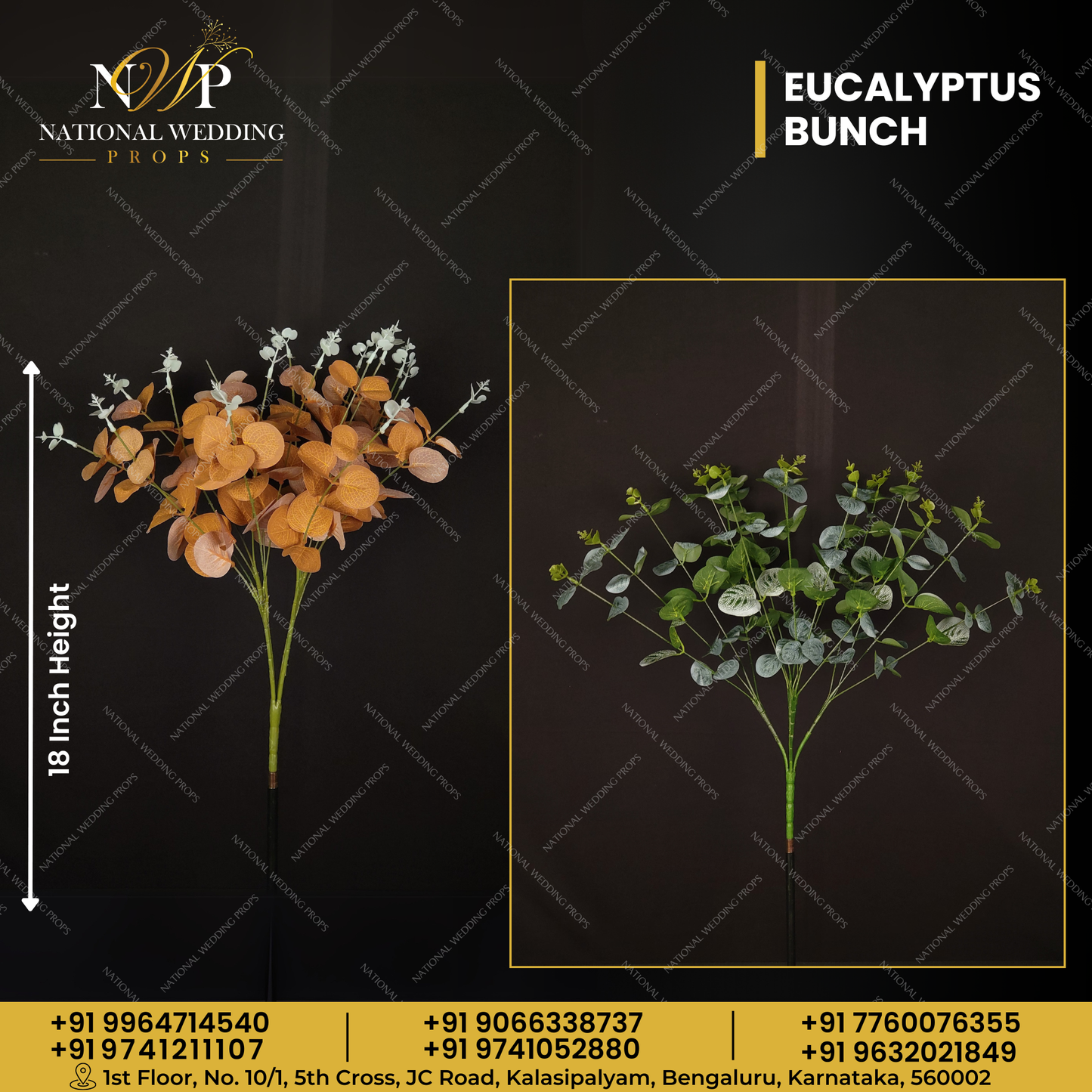Eucalyptus Bunch