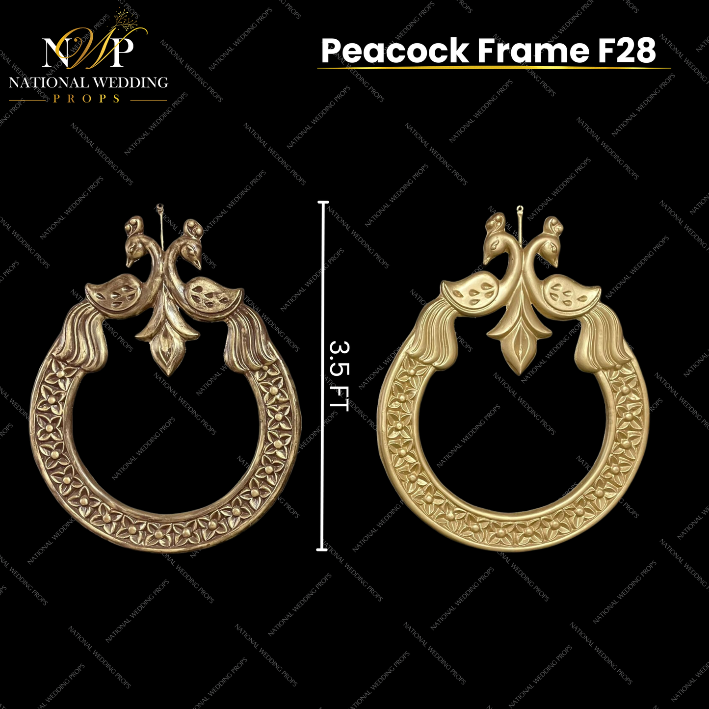F28 - PEACOCK FRAME