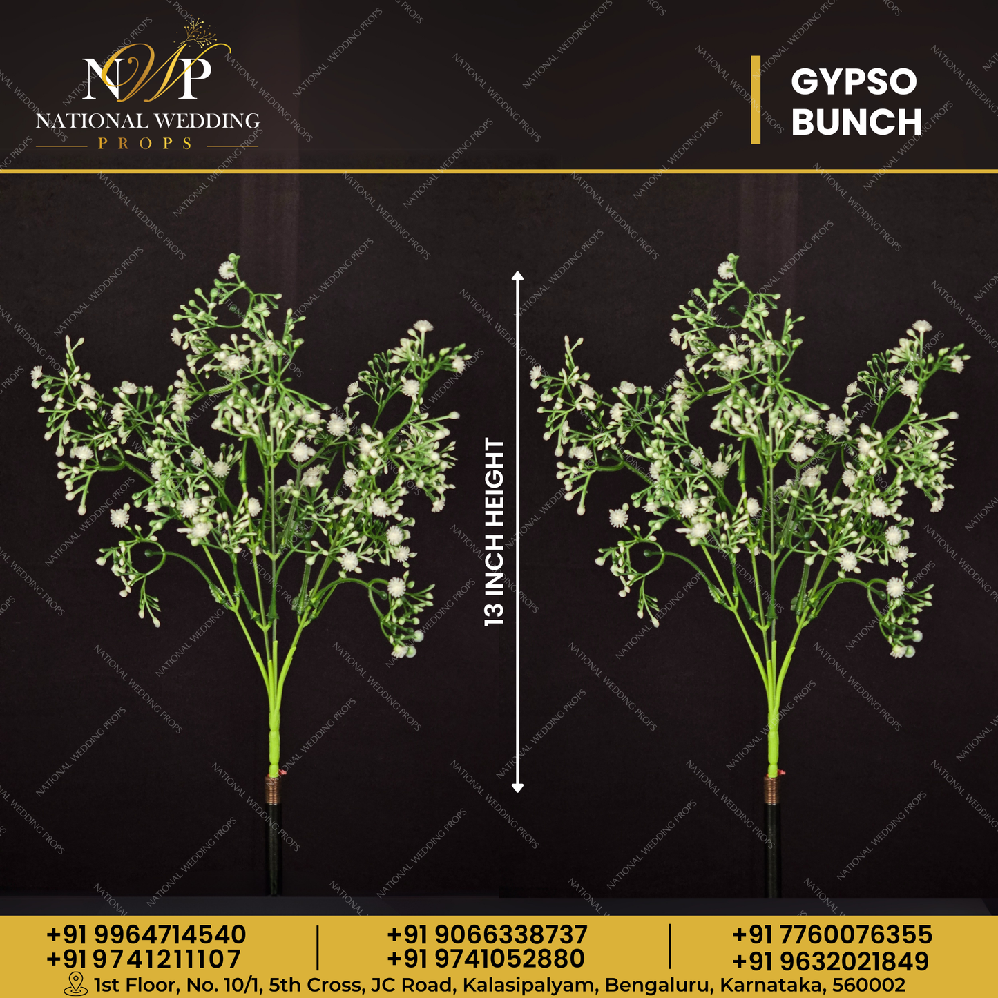 GYPSO BUNCH 5STICK