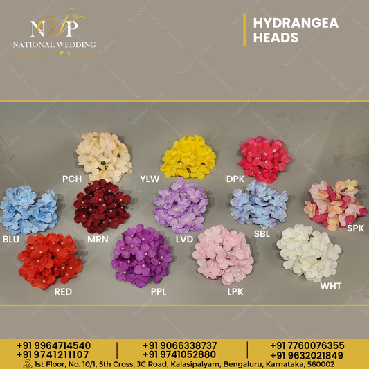 Hydrangea Heads
