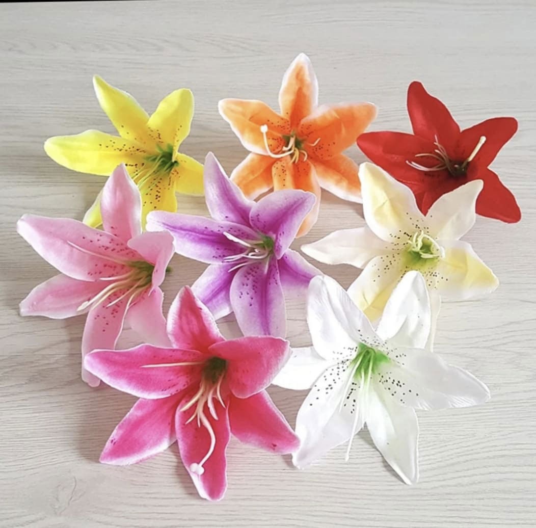 Lilium Flower