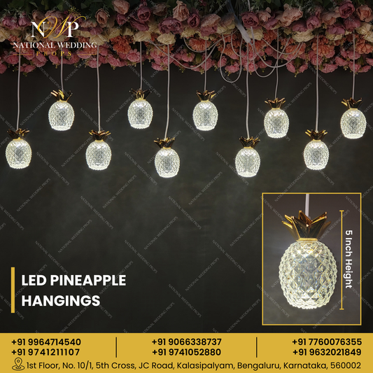 LED Pineapple Hangings