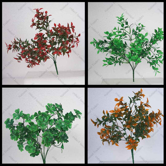 RUSCUS HOYA LEAF BUNCH