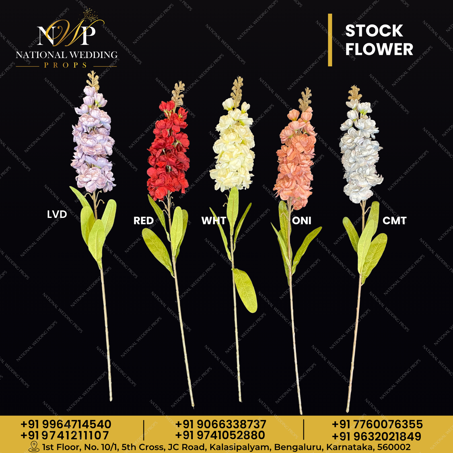 STOCK FLOWER