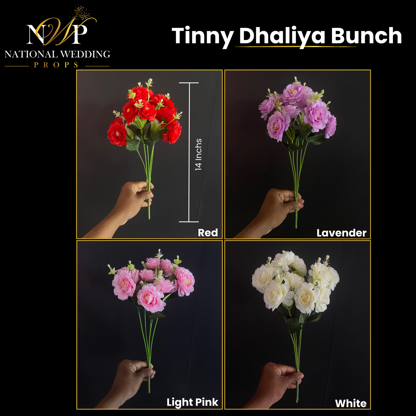 TINNY DHALIYA BUNCH