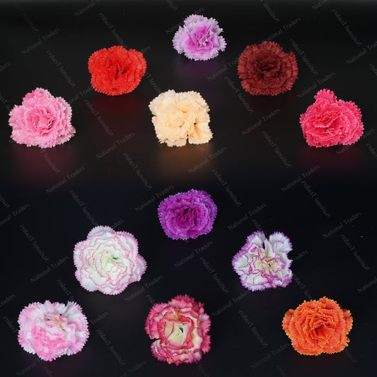 Carnation