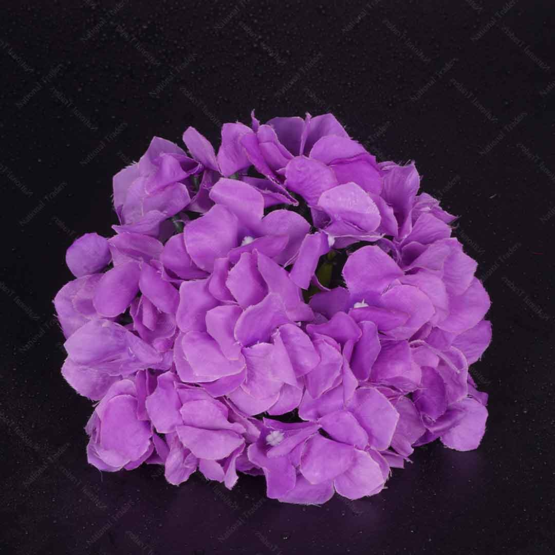 Hydrangea Heads
