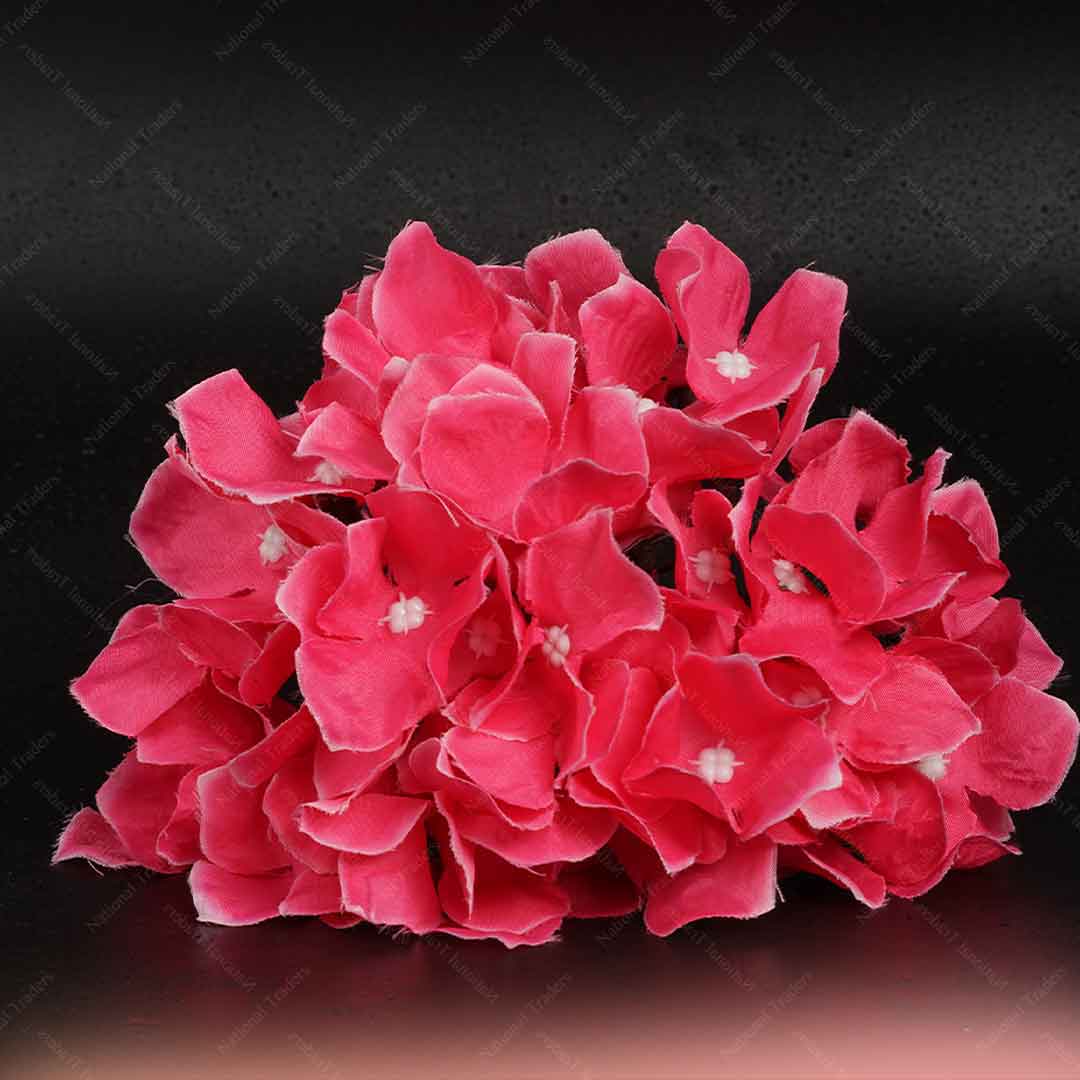 Hydrangea Heads