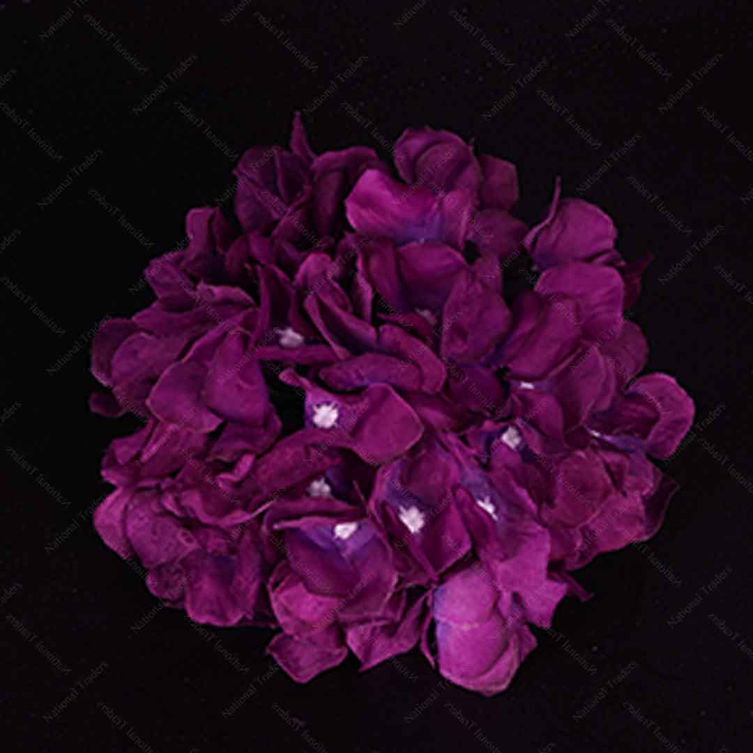 Hydrangea Heads