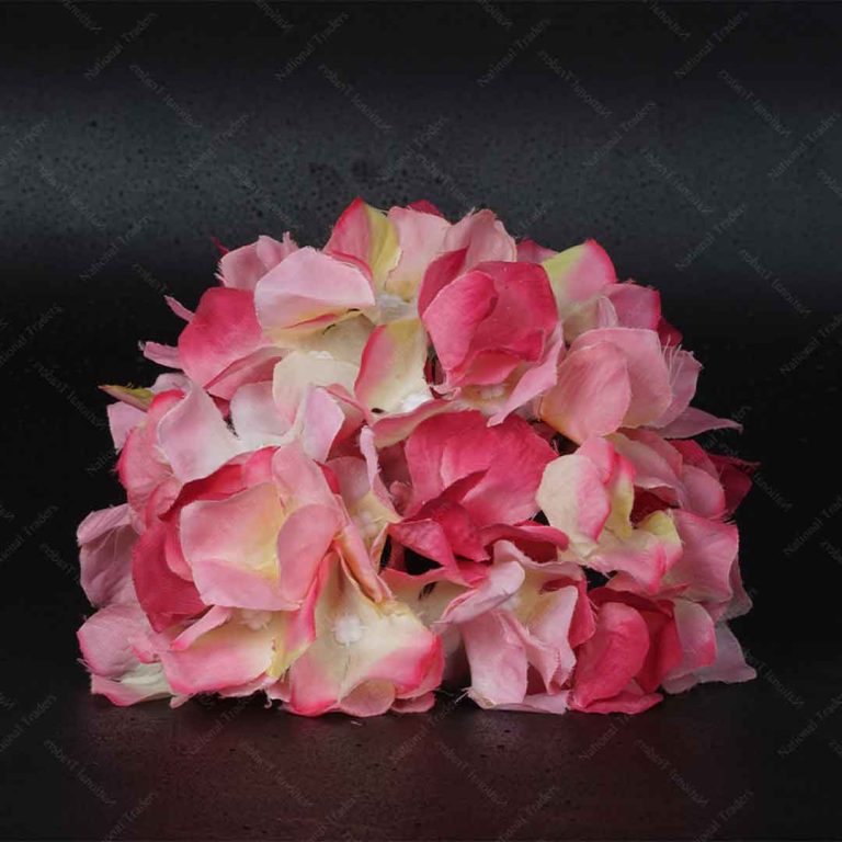 Hydrangea Heads