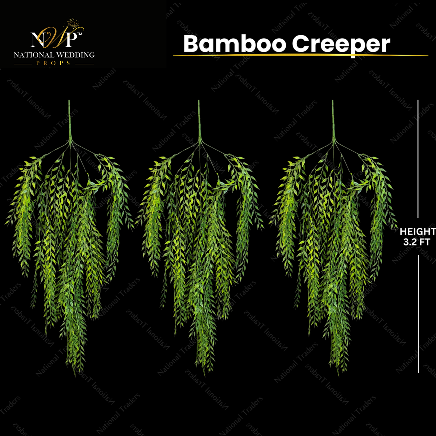 BAMBOO CREEPEER GREEN