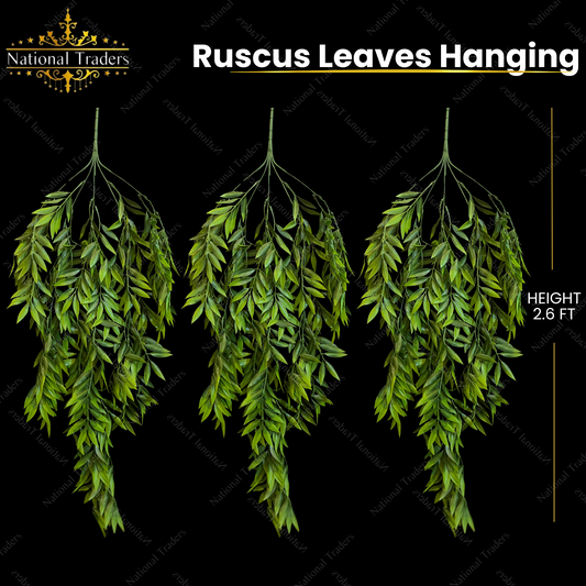 Ruscus Leaves Hanging