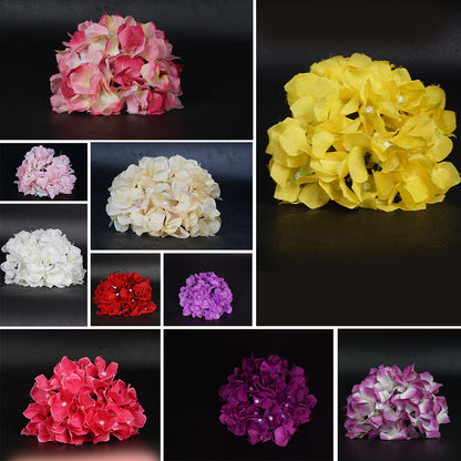 Hydrangea Heads