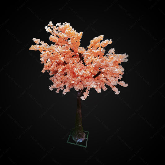 Cherry Blossom Tree