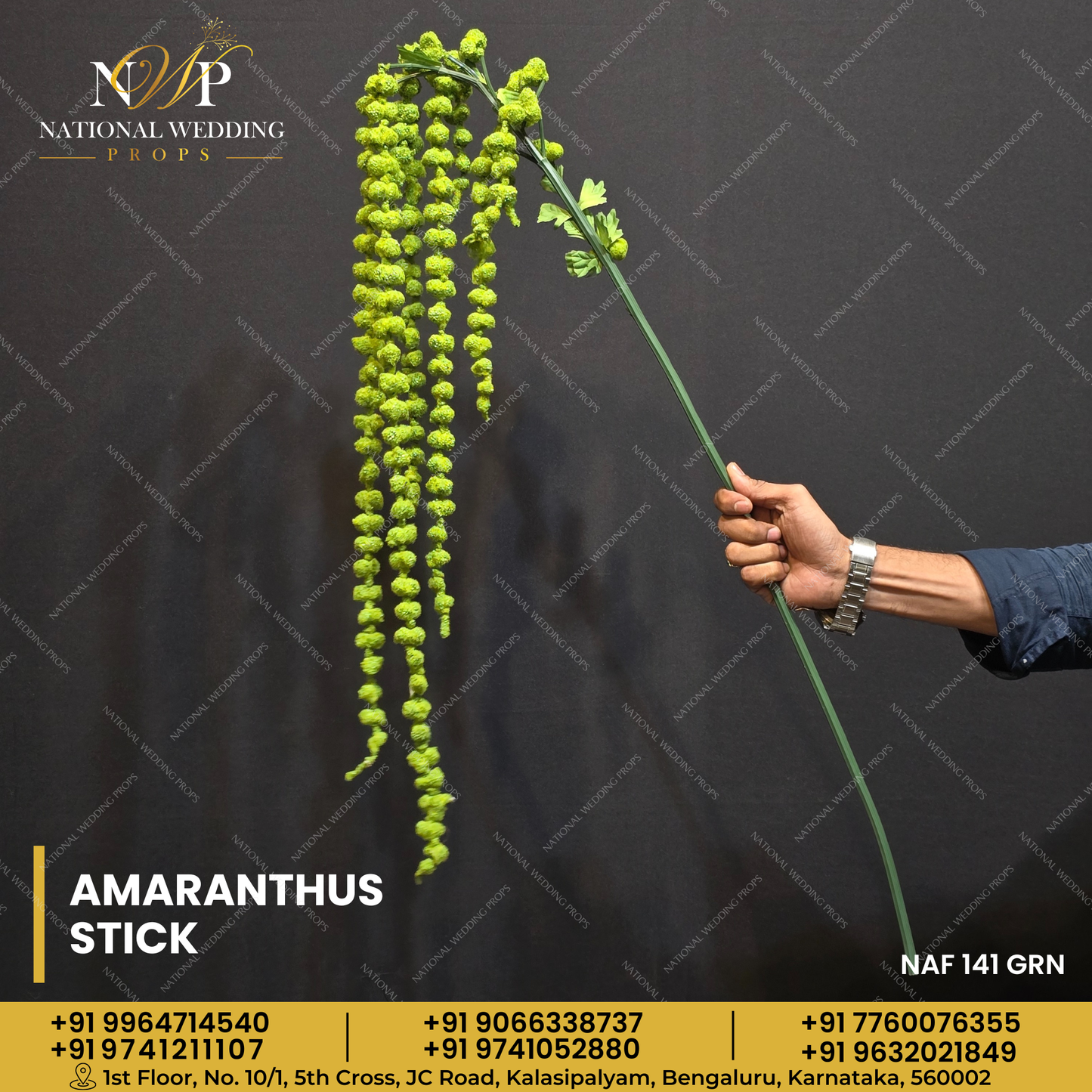 AMARANTHUS STICK GREEN