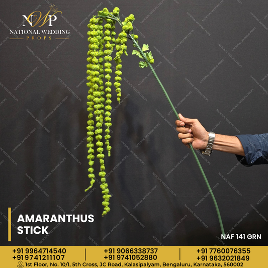 AMARANTHUS STICK GREEN