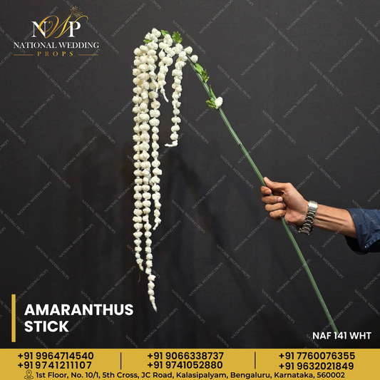 AMARANTHUS STICK WHITE