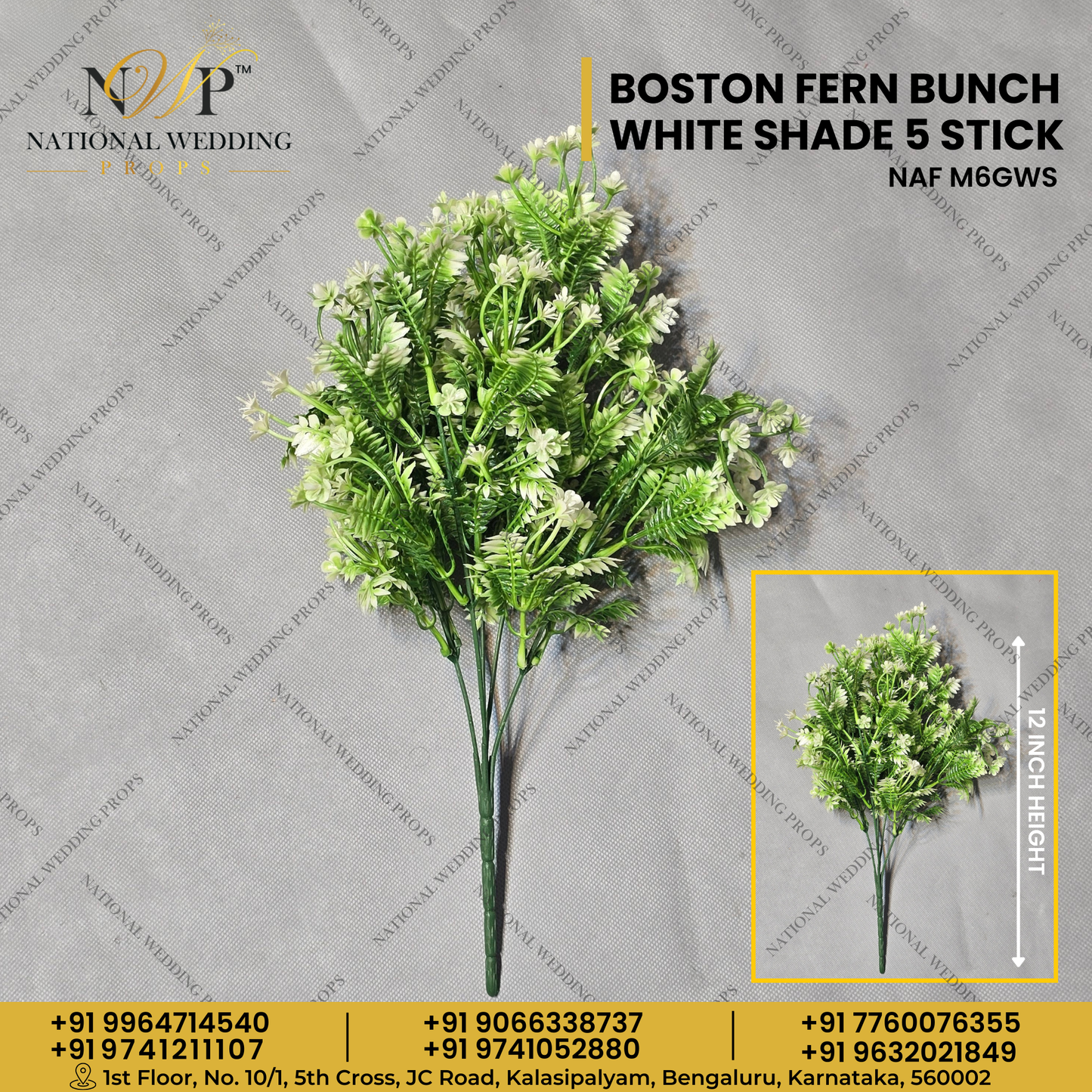 Boston Fern Bunch White Shade 5 Stick