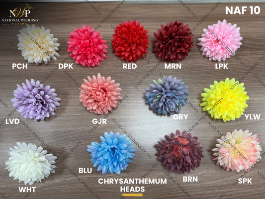 Chrysanthemum Heads