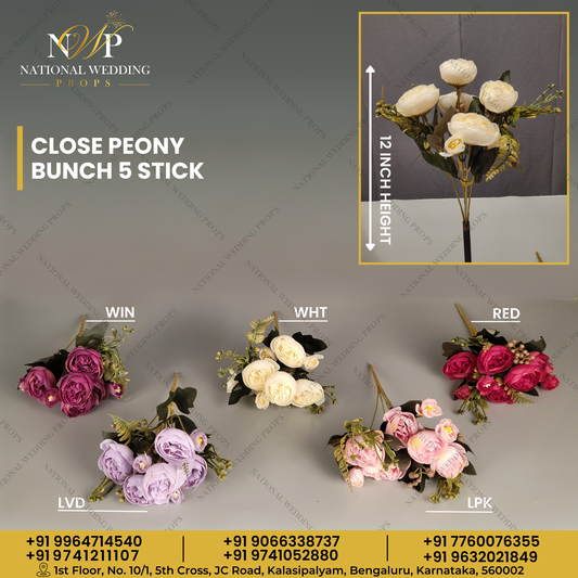 CLOSE PEONY BUNCH 5 STICK
