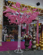 Round China Tree