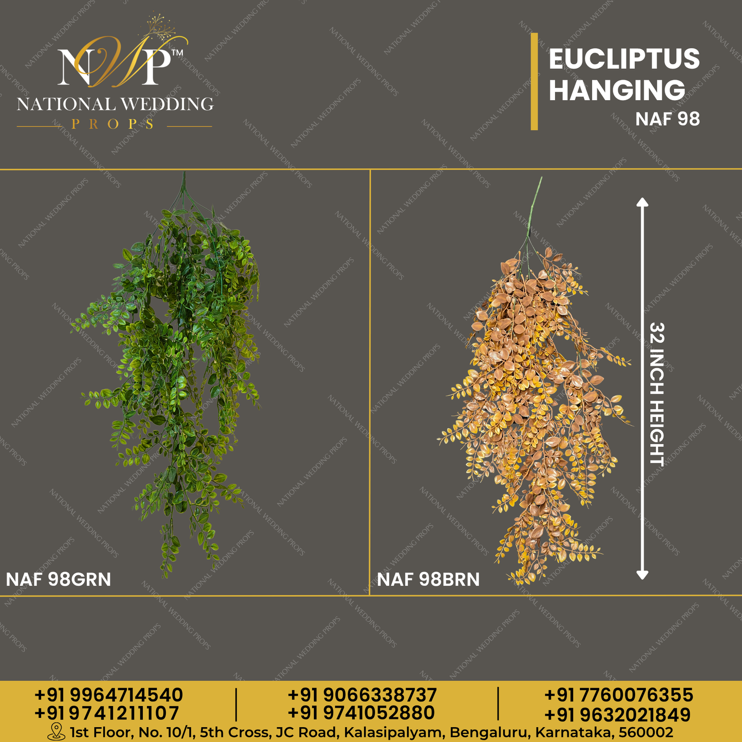 Eucliptus Hanging