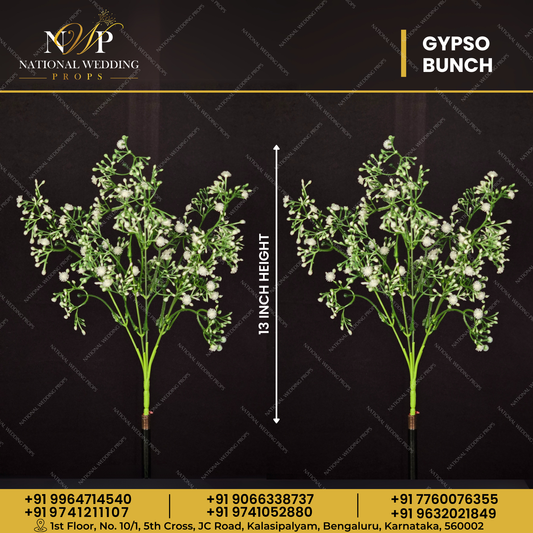 GYPSO BUNCH 5STICK