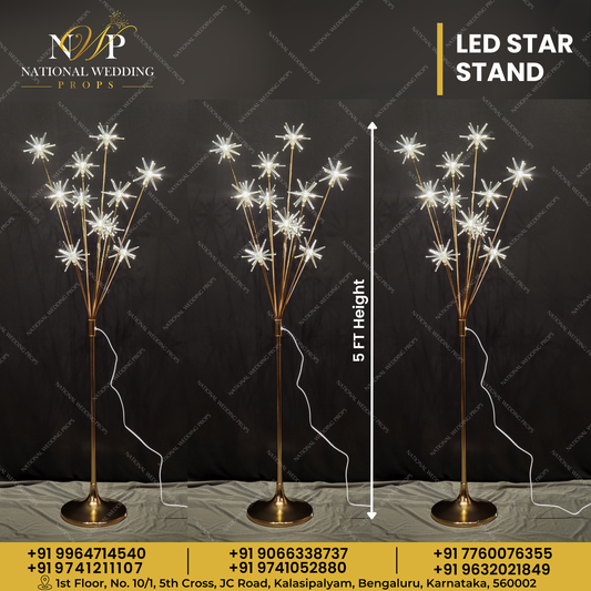 LED Star Stand