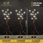 LED Star Stand