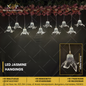 LED Jasmine Hangings