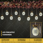 LED Pineapple Hangings