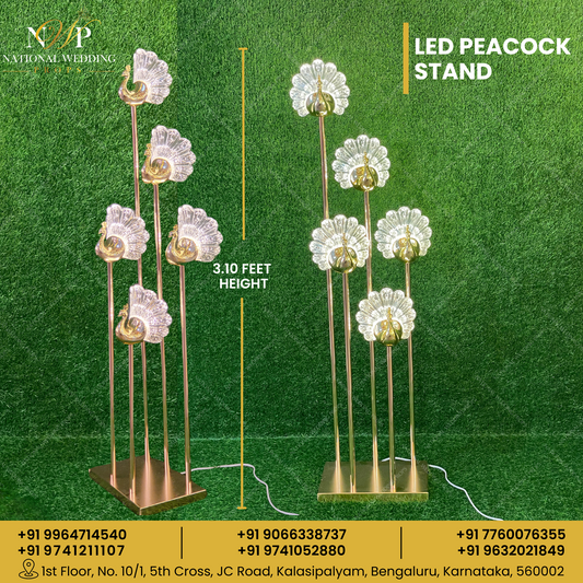 LED PEACOCK STAND