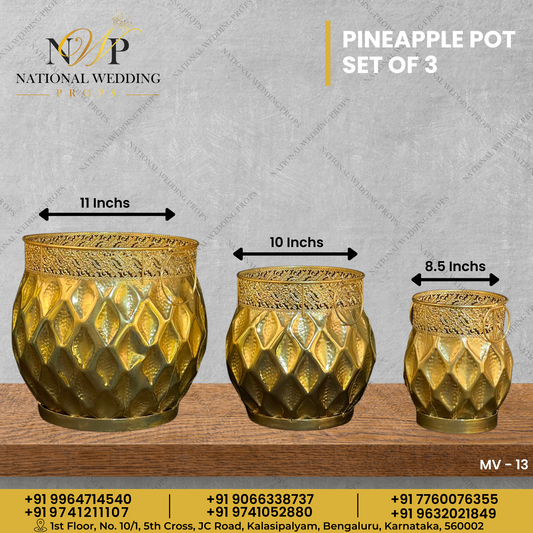 Pineapple Pot Set of 3