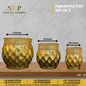 Pineapple Pot Set of 3