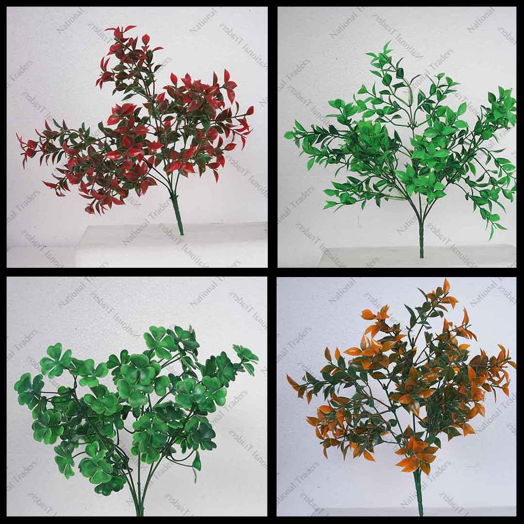 RUSCUS HOYA LEAF BUNCH