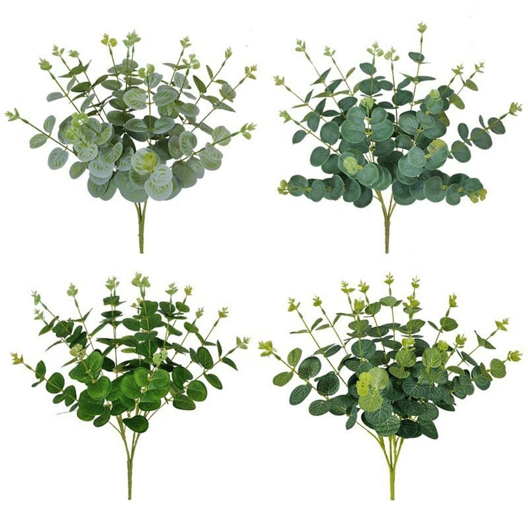 Eucalyptus Bunch