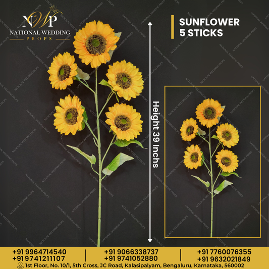 Sunflower 5 Sticks