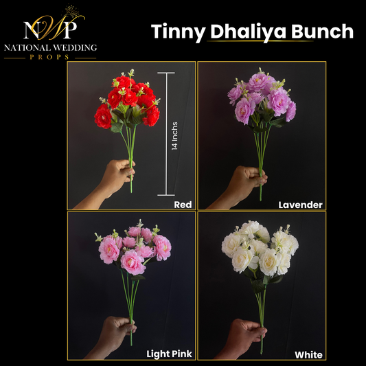 TINNY DHALIYA BUNCH
