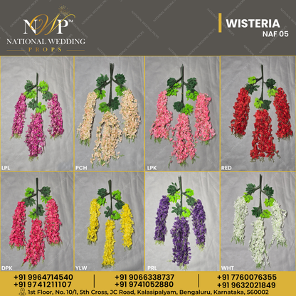 WISTERIA
