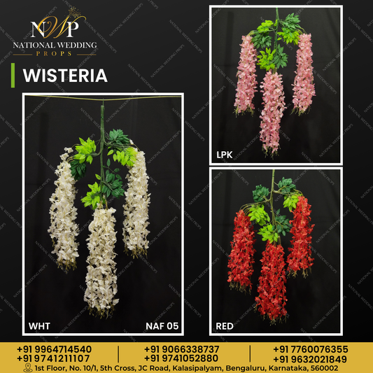 WISTARIA
