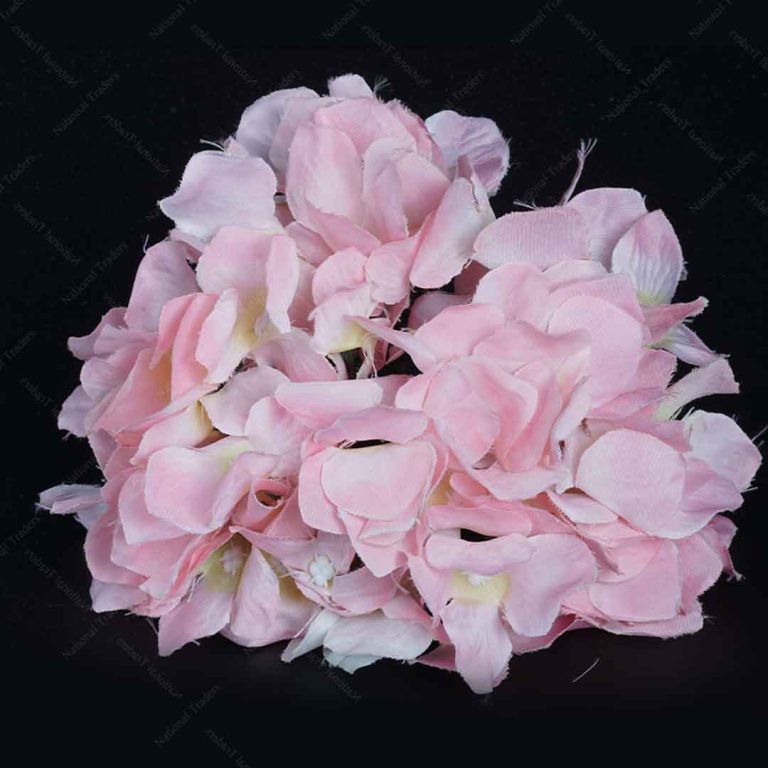 Hydrangea Heads