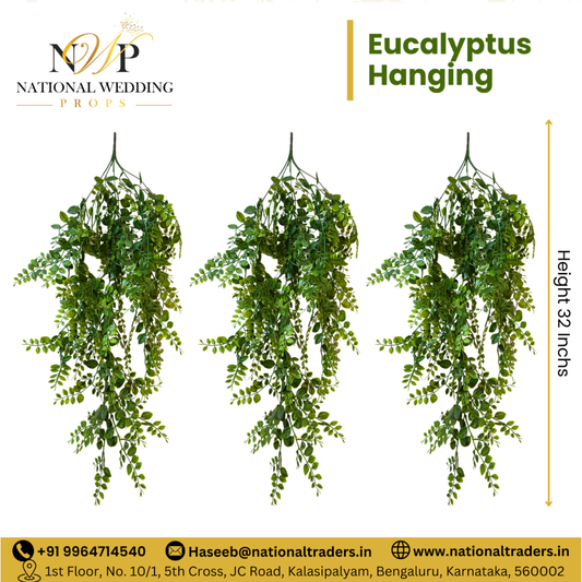 ECLIPTUS GREEN HANGING