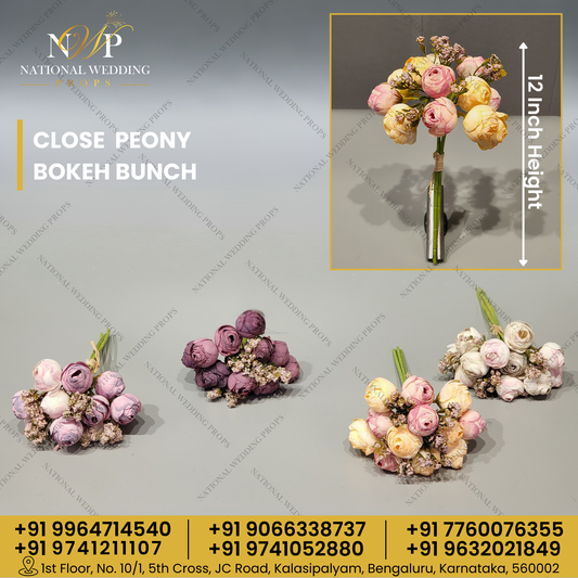 CLOSE PEONY BOKEH BUNCH