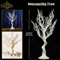 Manzanita Tree