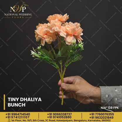 TINY DHALIYA BUNCH